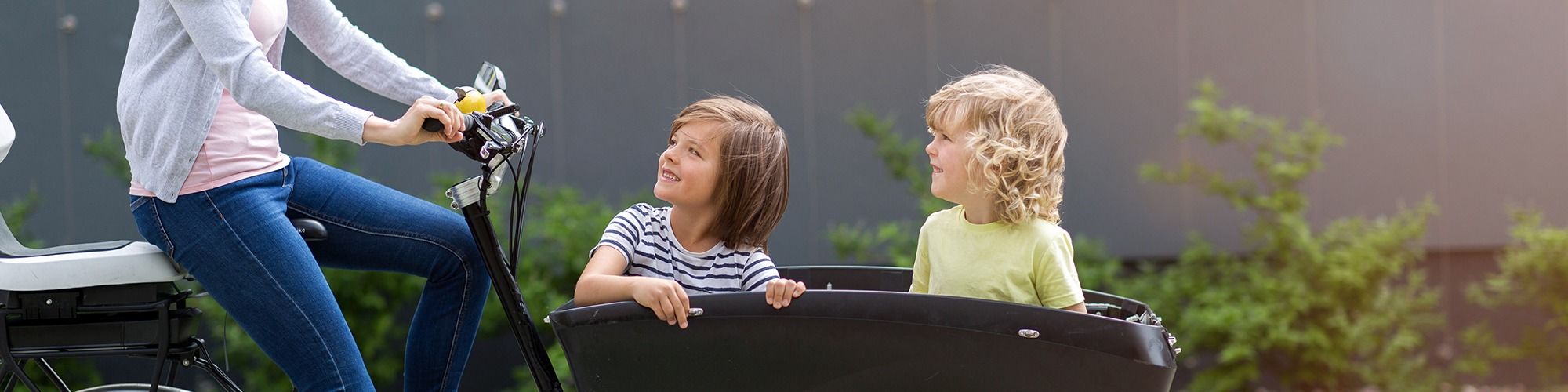 Triciclos El&eacute;ctricos