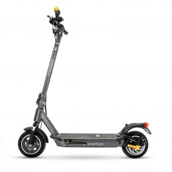 Adult Electric Scooters