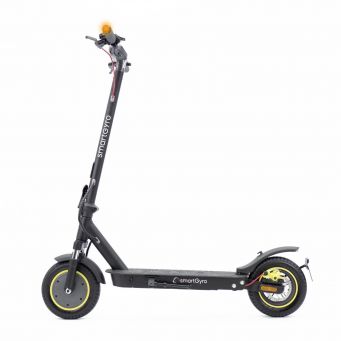 Adult Electric Scooters