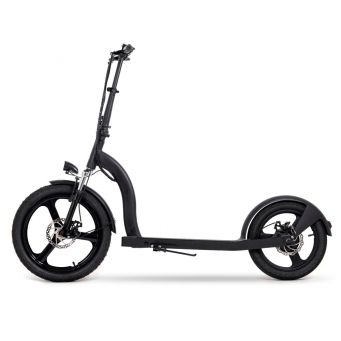 Adult Electric Scooters