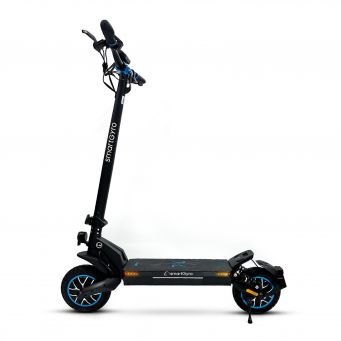 Adult Electric Scooters