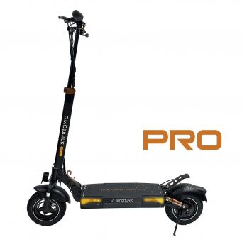 Adult Electric Scooters